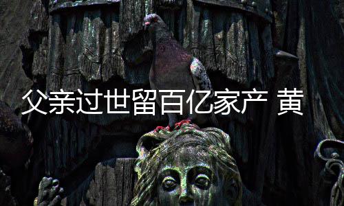 留百韬炫过世产 情况亿家黄子什么父亲富是