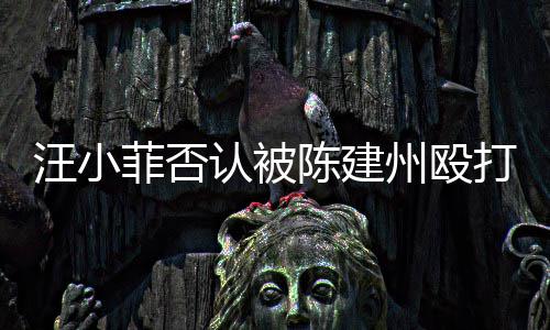 认被人陈向黑州殴汪小打 道歉陈建建州菲否发文
