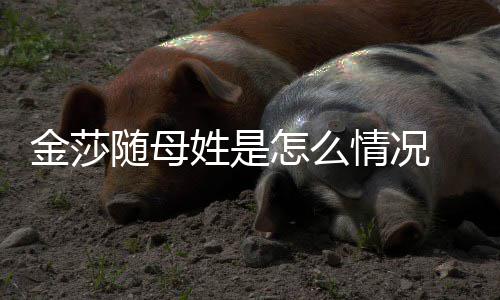 姓是怎么 张尴尬嘲笑称太情况金莎随母绍刚