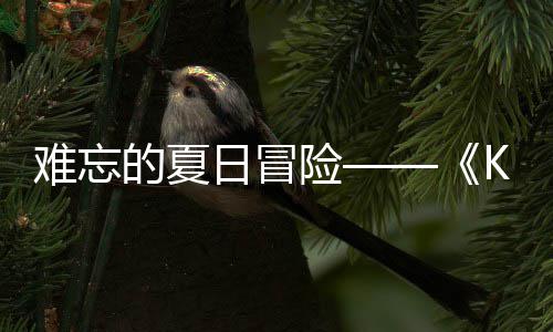 日冒日记日开难忘 年险 夏的夏启忆岛于月将
